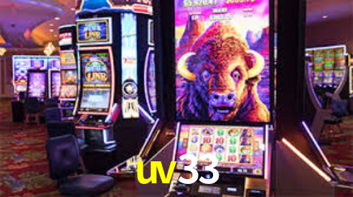 Interface Premium uv33